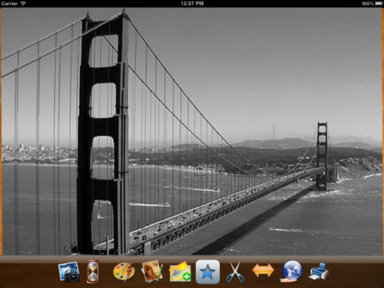 grayscale ipad app screen